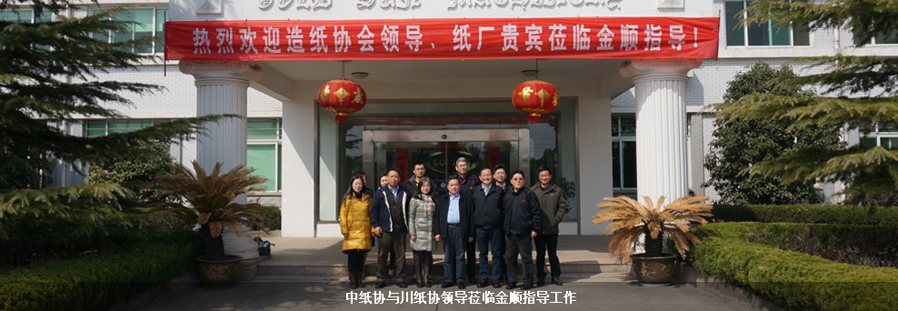 深入探討N-甲基嗎啉氧化物在生物聚合物改性領域的應用潛力